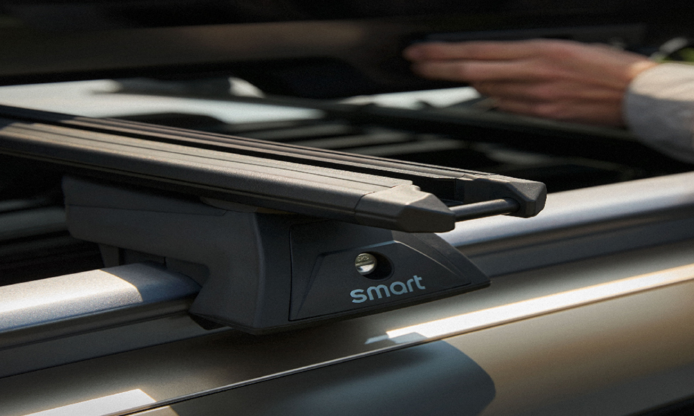 Roof Carrier